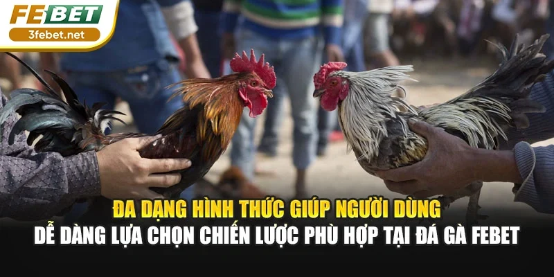 Đa dạng hình thức giúp người dùng dễ dàng lựa chọn chiến lược phù hợp tại đá gà Febet