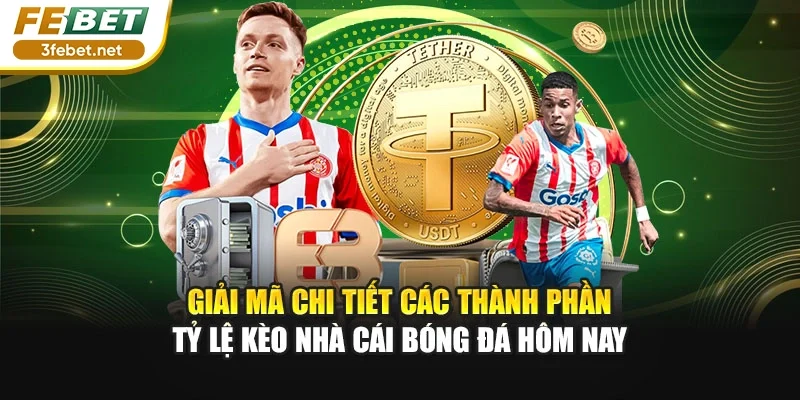 Giải mã chi tiết các thành phần tỷ lệ kèo nhà cái bóng đá hôm nay