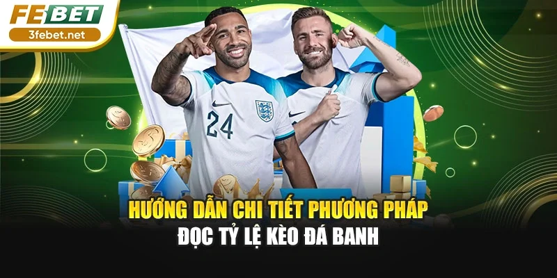 Hướng dẫn chi tiết phương pháp đọc tỷ lệ kèo đá banh