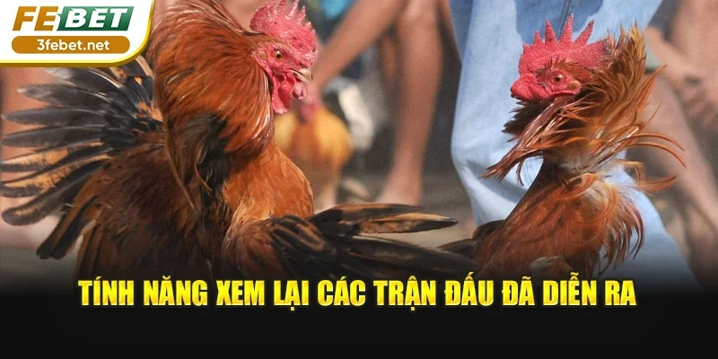 Tính năng xem lại các trận đấu đã diễn ra