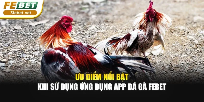 Ưu điểm nổi bật khi sử dụng ứng dụng app đá gà FEBET