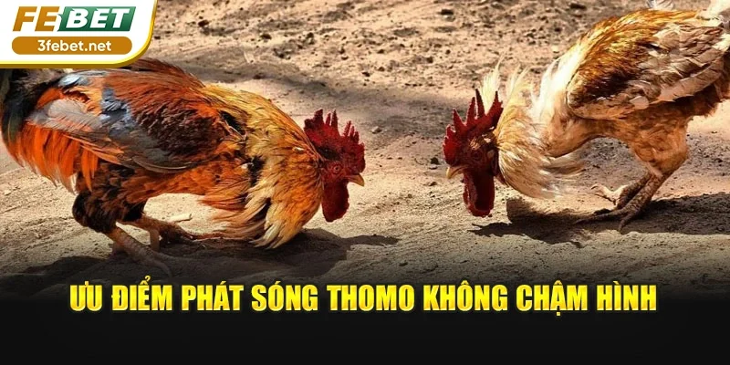 Ưu điểm phát sóng Thomo không chậm hình